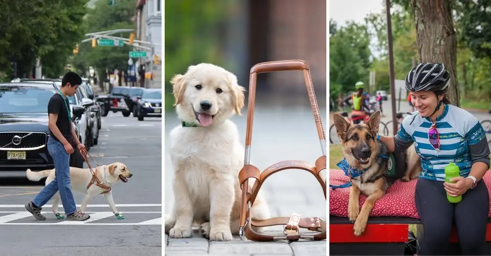 Puppy Ride Long Island - West Coast Send Off Party