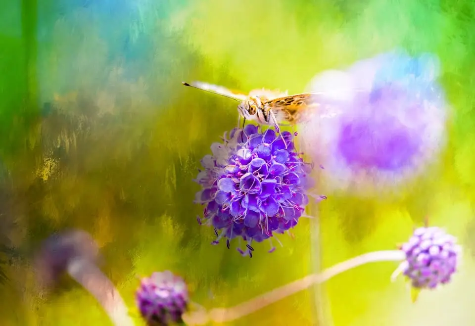 Celebrating Autumn Equinox & Nature’s Abundance