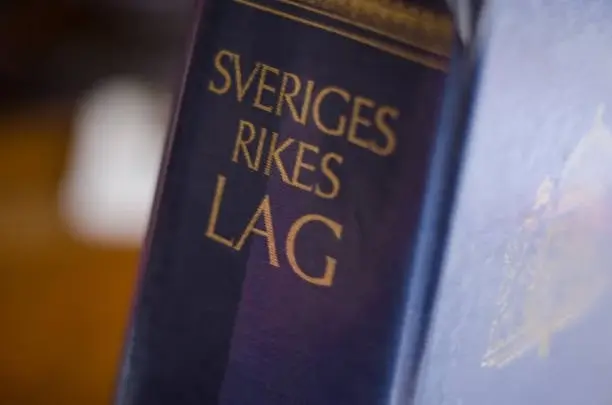 Temamöte om rättigheter 2