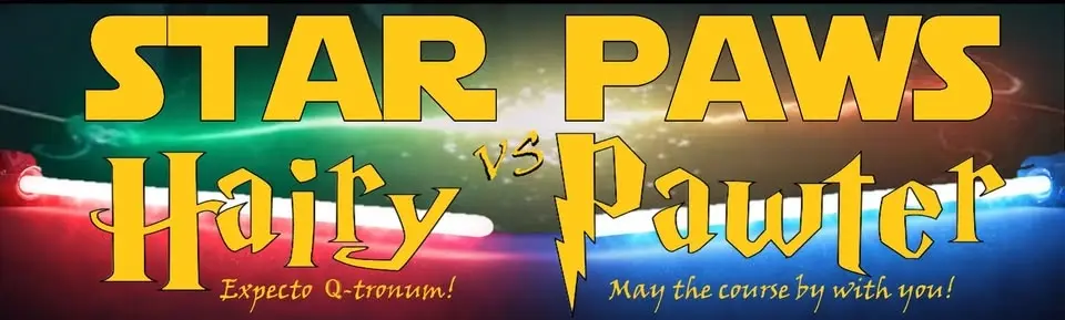 Star Paws vs Hairy Pawter (A Star Wars and Harry Potter Themed) CPE Agility Trial