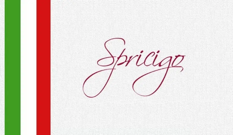 8 Encontro da Familia Spricigo 