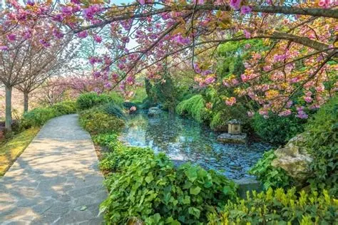 Nature Journaling @ Orto Botanico - Botanical Gardens