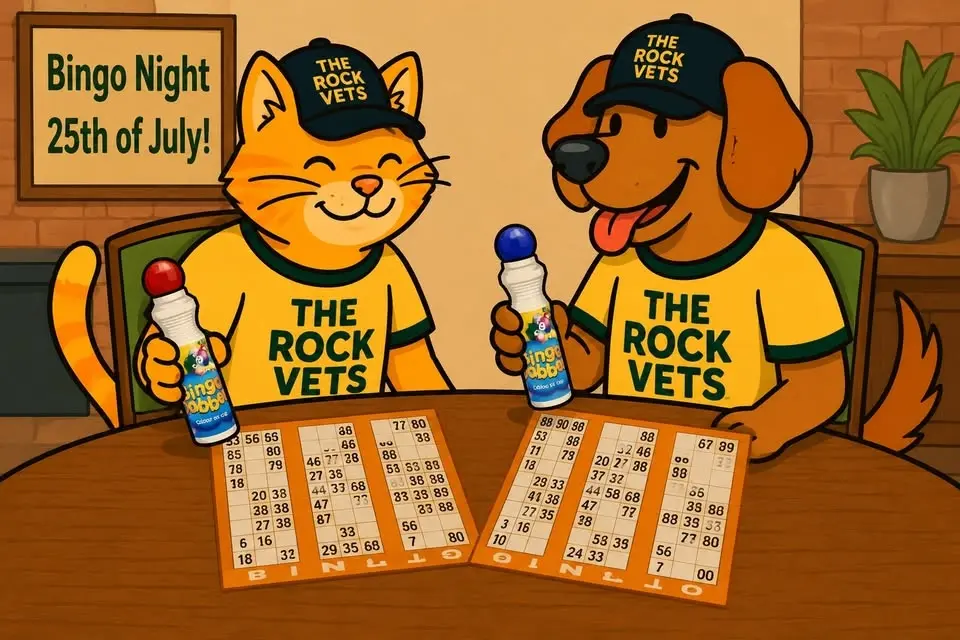 Bingo Night!