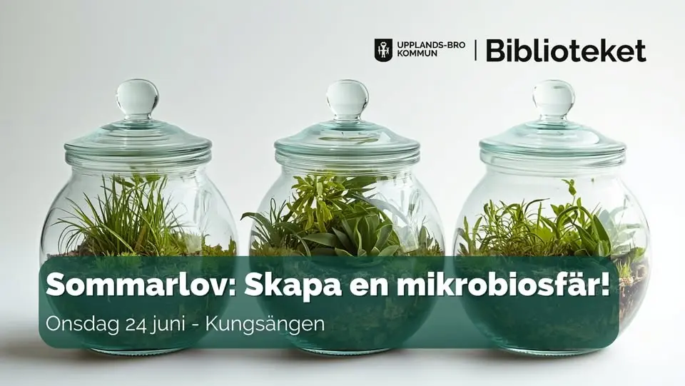 Sommarlov: Skapa en mikrobiosfär