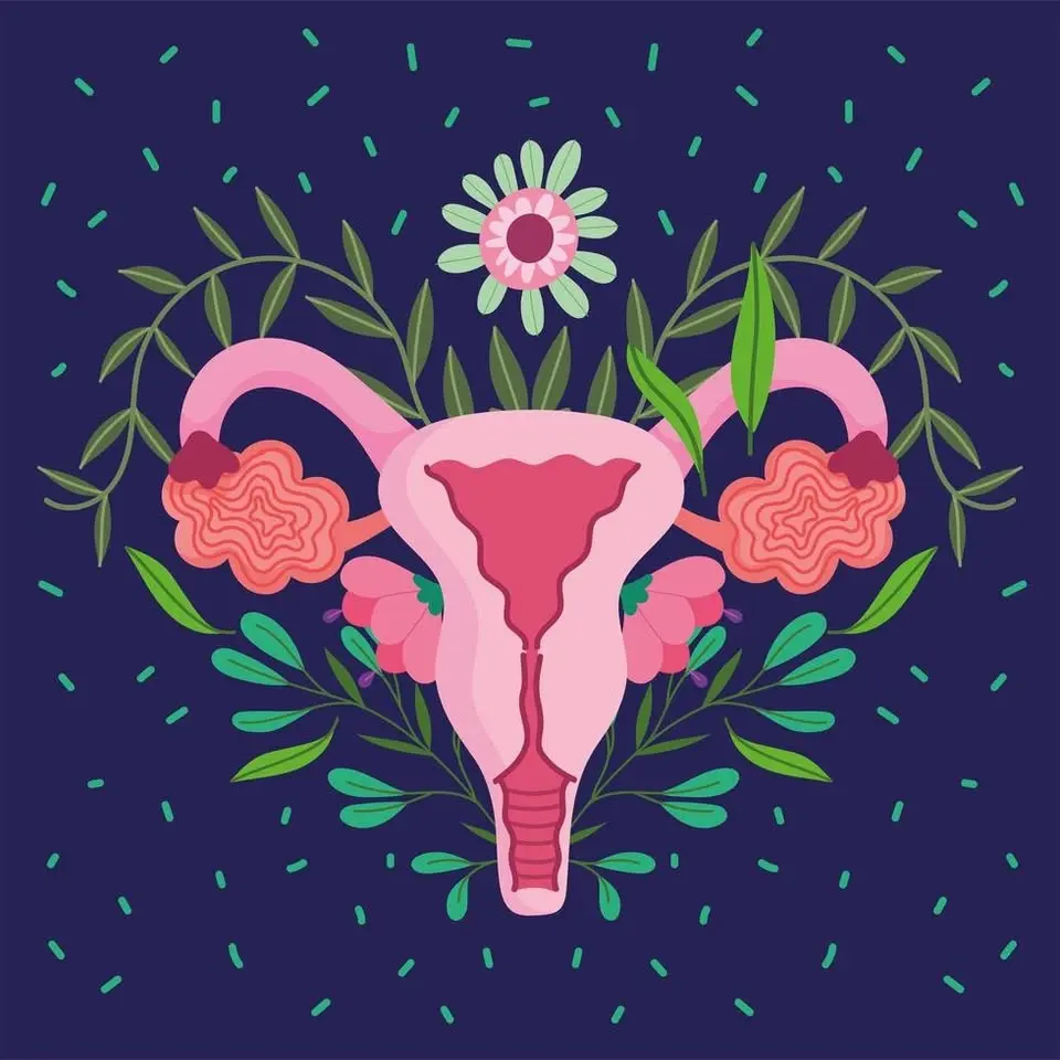 Blooming Through Perimenopause 🌸