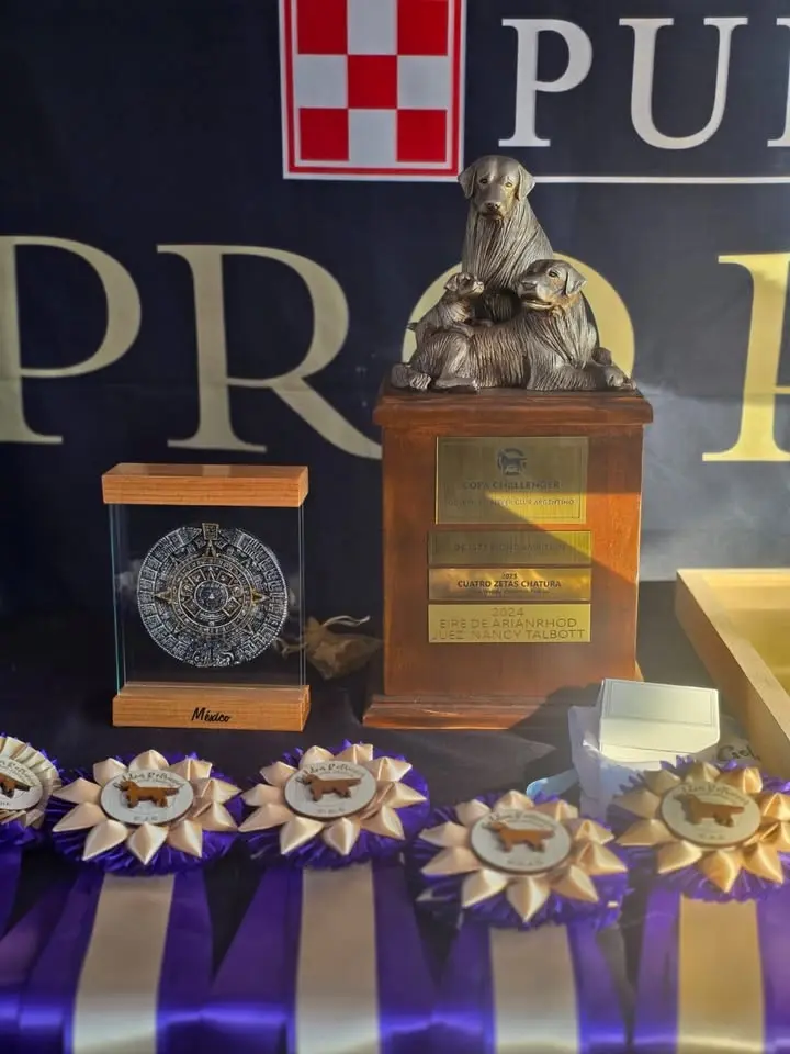EXPOSICION NACIONAL 2026 /PRE NACIONAL Y ESPECIALIZADAS