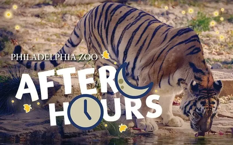 Zoo After Hours