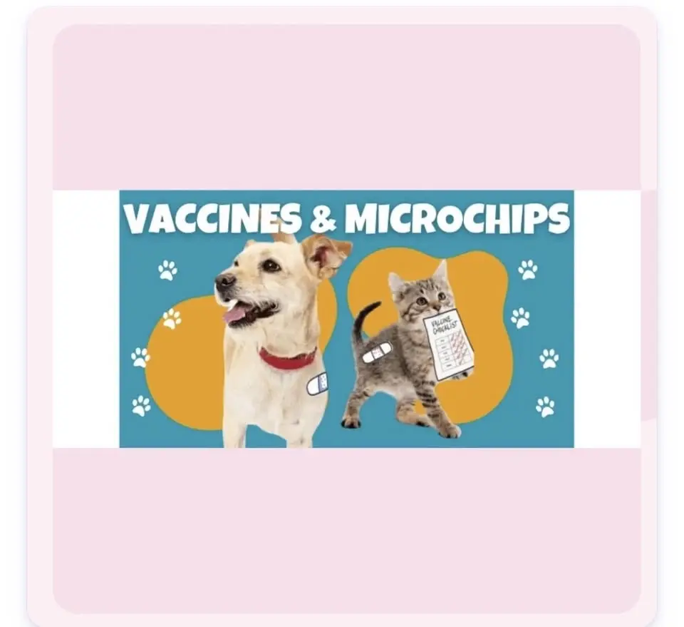 Microchip & Vaccination Clinic @ KT Animal Supply