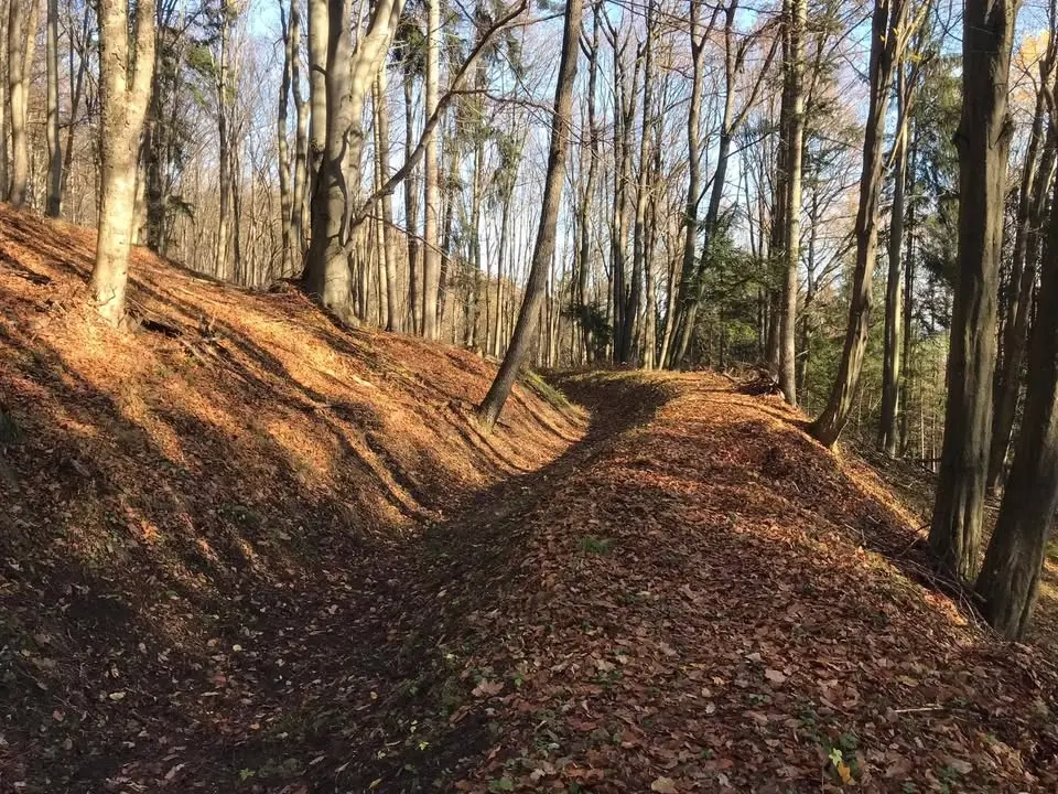 Večerná brigáda na jarkoch