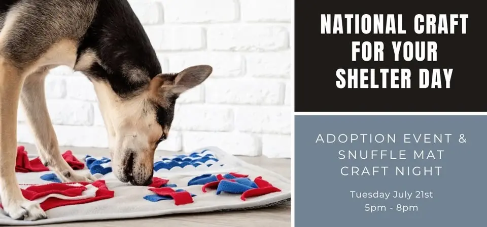 National Craft for Your Shelter Day