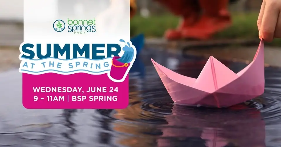 Summer at the Spring