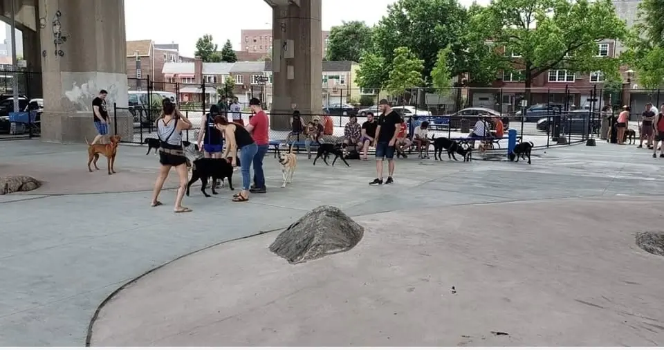 Free Dog Vaccination Day at Triborough Dog Park