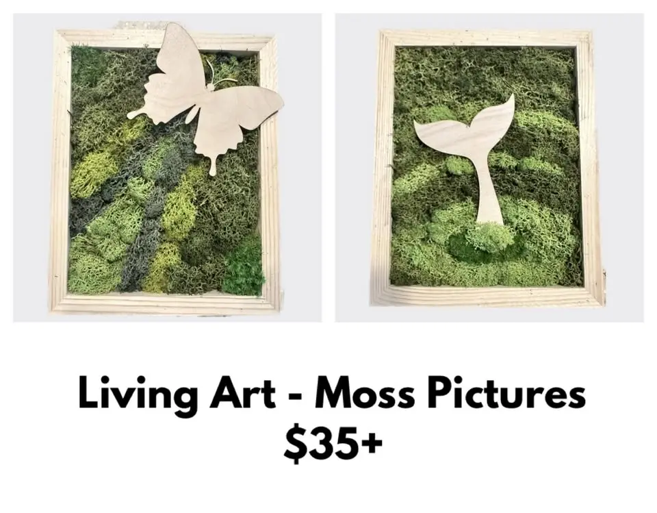 Living Art - Moss Pictures $45+