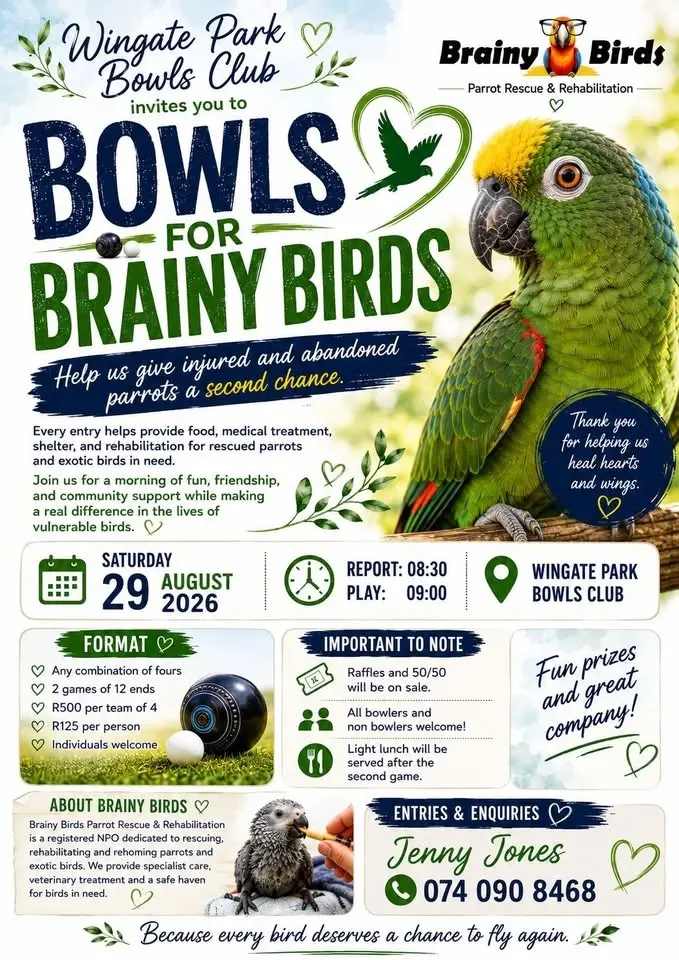 BOWLS FOR BRAINY BIRDS