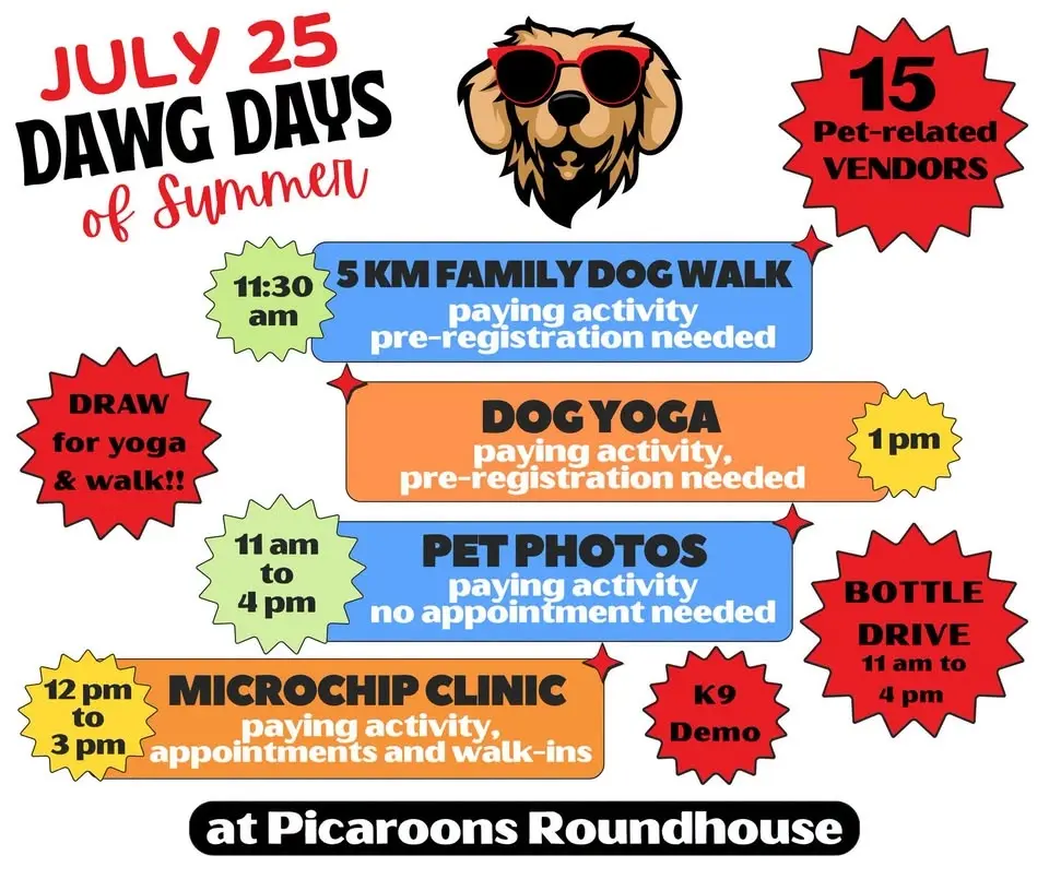 Dawg Days of Summer 2026 ☀️