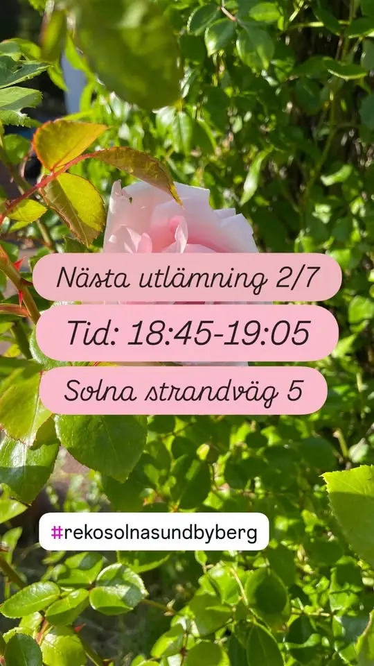 REKO-utlämning Solna / Sundbyberg